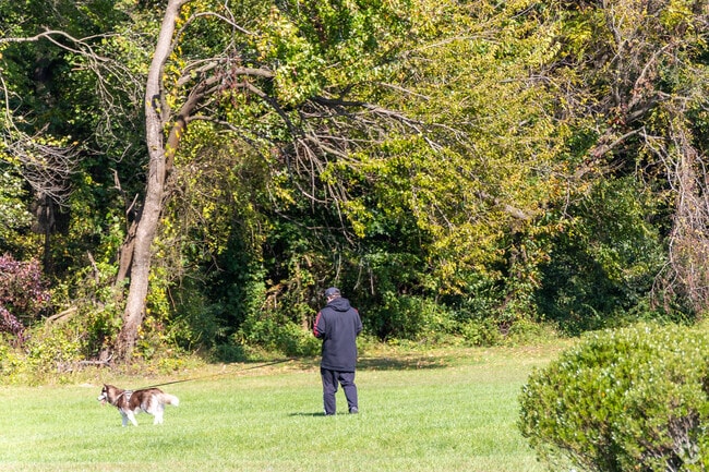 Logan Township residents can take a stroll with the dog along the trails in Township Line Park.