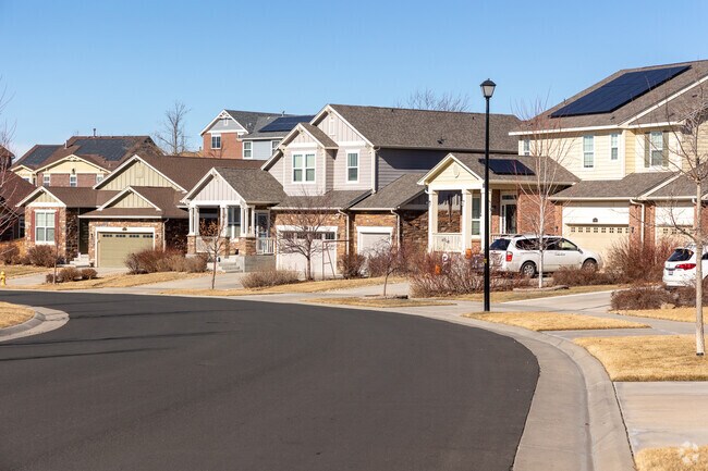 Larger craftsman and new traditional homes line the streets in the Conservatory neighborhood.