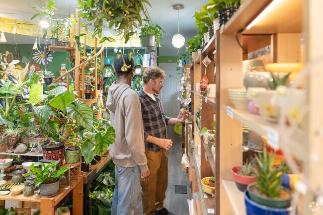 Put A Plant On It in Elmwood Bidwell sells indoor house plants.