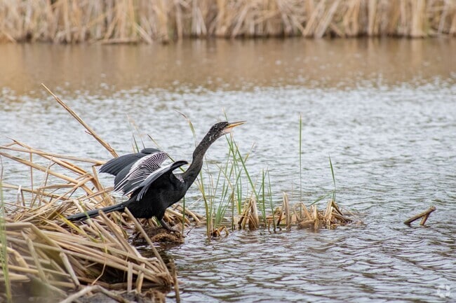 Residents of Rubonia will find a variety of wildlife at Terra Ceia Preserve State Park.