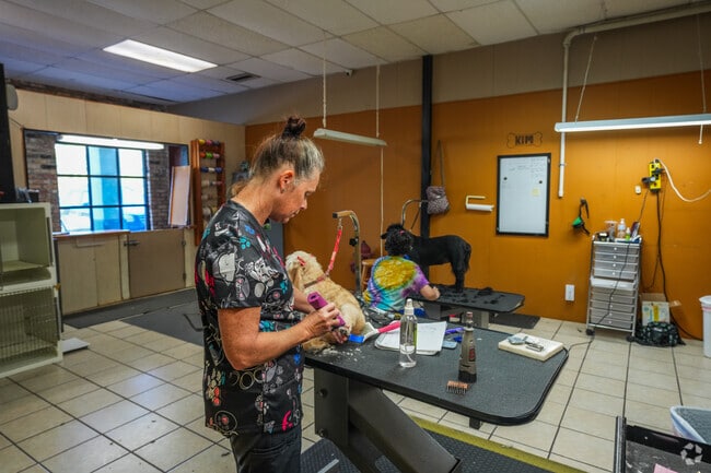 Lakeshore residents enjoy top-notch dog grooming at Kim’s Dog Groom.