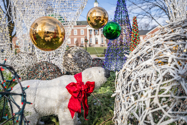There are stunning seasonal decorations throughout Hinsdale during the holidays.