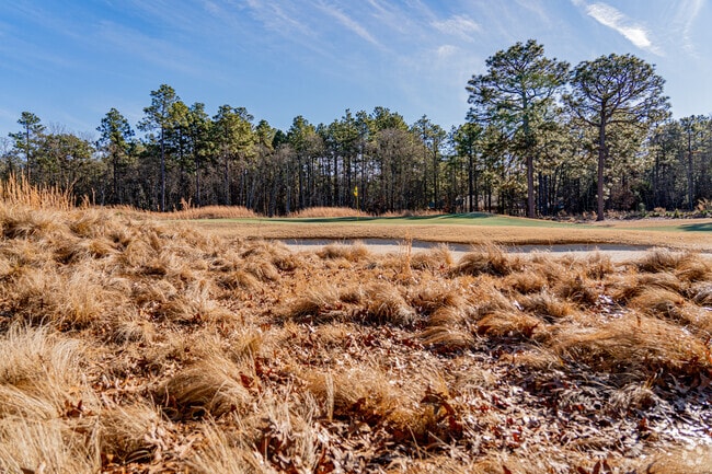 Golf courses are prevalent in the Southern Pines area.