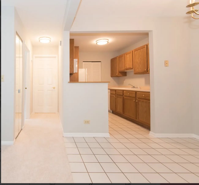 920 N Lakeside Dr unit Lakeside Dr, Vernon Hills, IL 60061 - photo 5