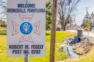 Breinigsville