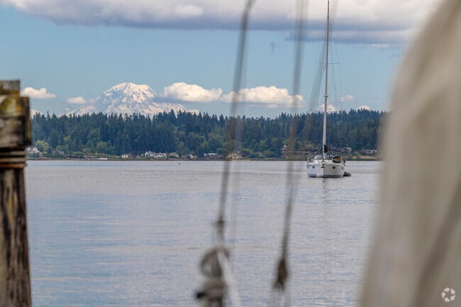 Mt Rainier towers above the forest along the coast of Illahee State Park in Enetai WA.