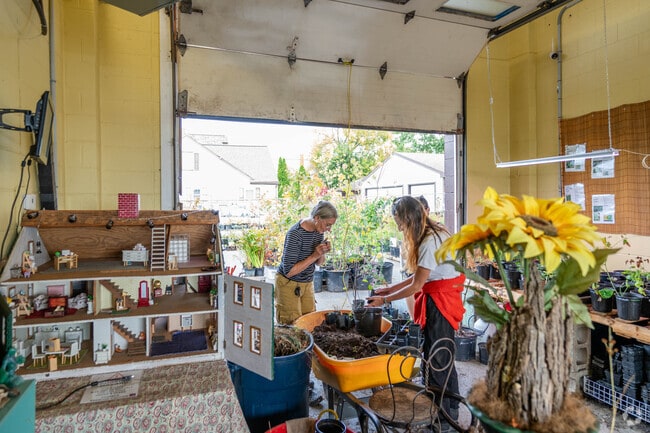 Primeval Forest Nursery in Old Town specializes in indigenous plants.