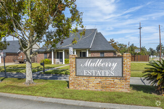 Mulberry