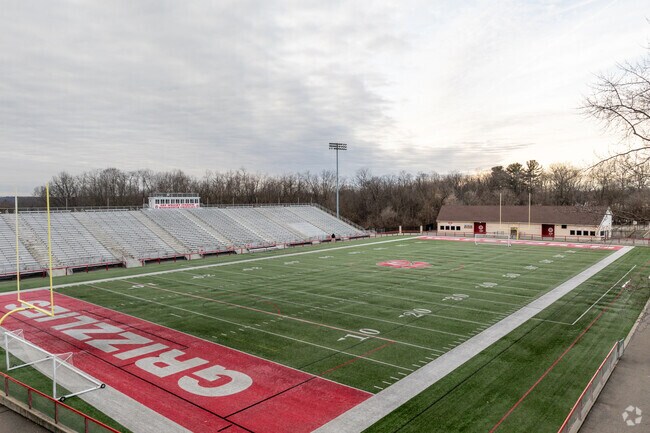 Wadsworth High School football is a popular event on Friday nights.