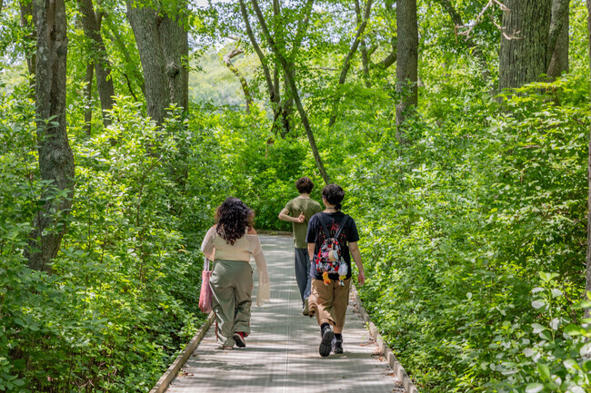 Walk the boardwalk to the observation deck at Wertheim National Wildlife Refuge.