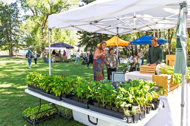 Buena Vista features a farmers market that starts every June.
