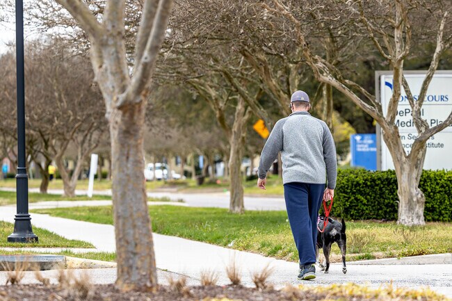 There are plenty of safe sidewalks in Belvedere for walking your pups.