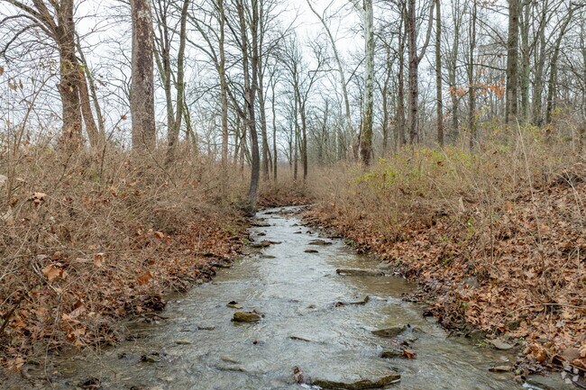 Hamilton has an appreciation for metro parks such as Forest Run Metro Park.