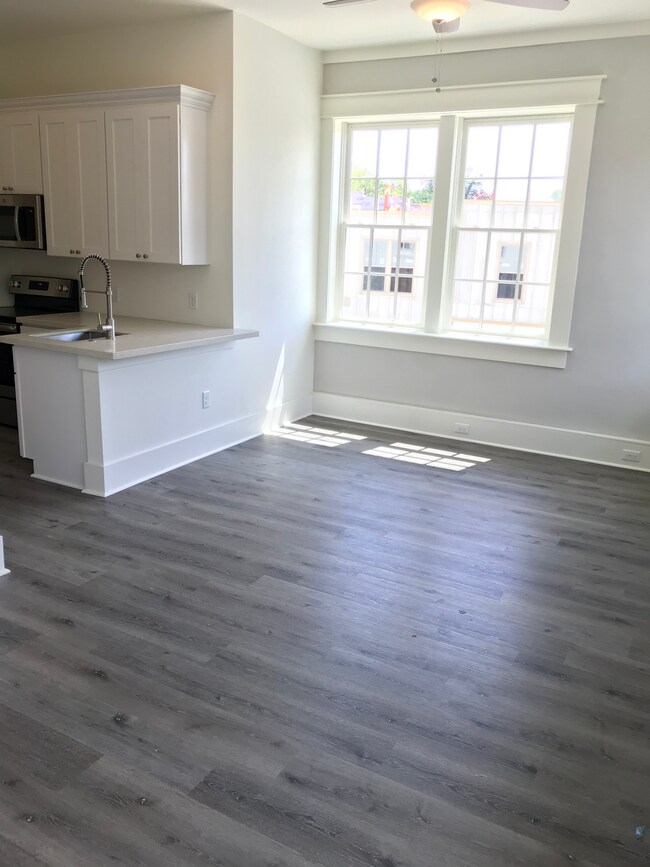 Open Living/Kitchen/Bedroom