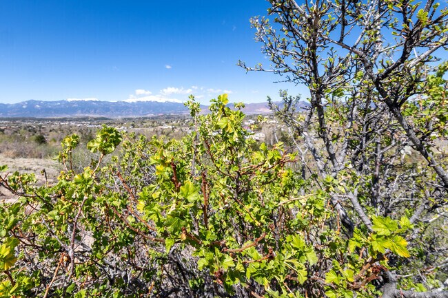 There are several trails with amazing views in Old Farms.