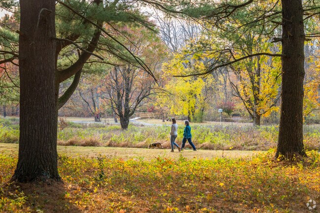 Immerse yourself in nature at Kalmbach Park.