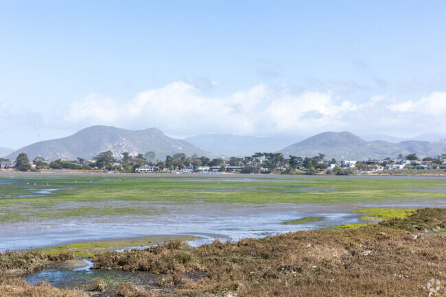 Many homes are located off the bay in Los Osos.