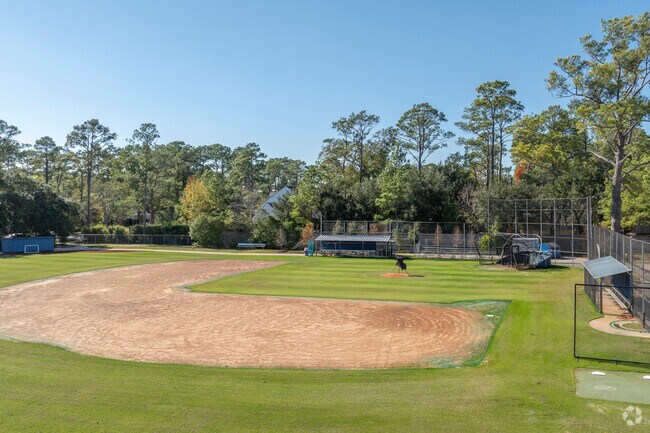 Students at St. Francis Episcopal School excel while contributing to a vibrant school.