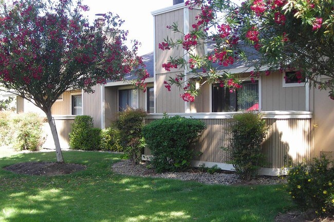 Prescott Pointe, Clovis, CA 93612 - photo 5