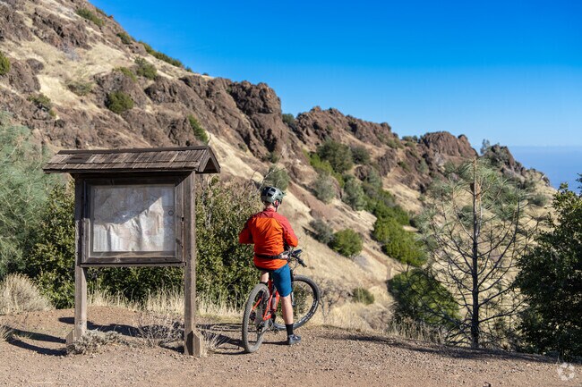 Cyclists find joy in the rolling hills and vistas of Mt. Diablo.
