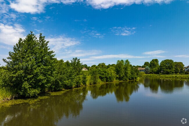 The parks and nature preserves in Orchid Heights are full of natural ponds and streams.