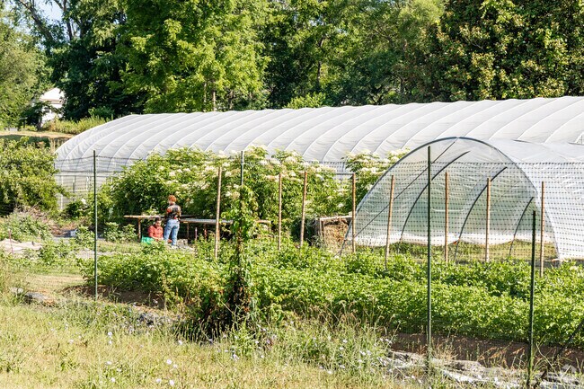 Washington Park residents like to participate with the Lick Run Community Development to learn.