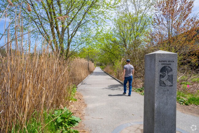 Enjoy the nature along the Alewife Brook Greenway path in East Arlington.