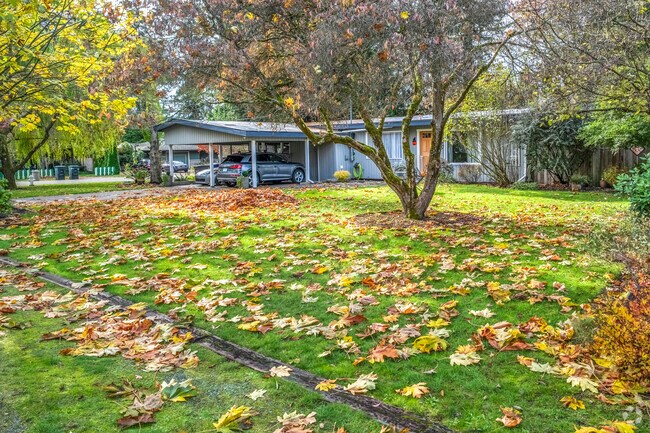 The Uplake neighborhood in Kenmore is a colorful paradise during fall.