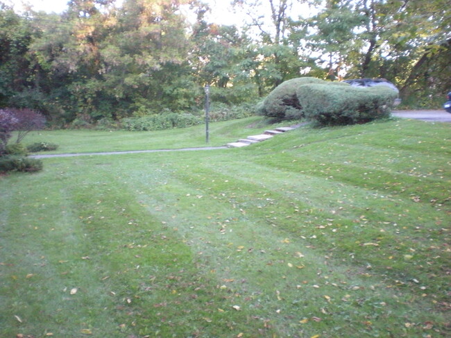 Large yards