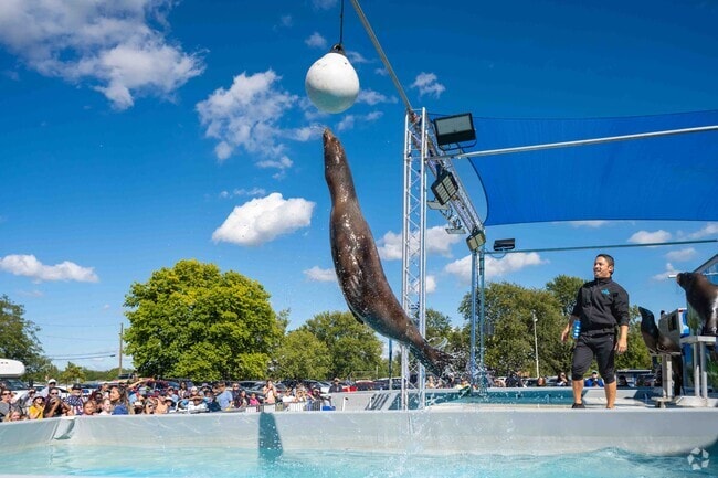 The yearly Monee Fall Fest is a major moment for Momence residents.