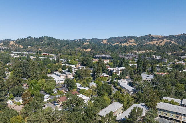 Downtown Lafayette is an area with all the conveniences of town and the beauty of nature.