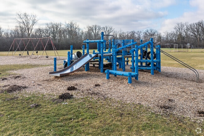Adlai Stevenson Elementary School playground.