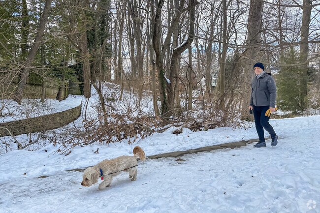 Spring Valley Park has trails to walk your dog along.