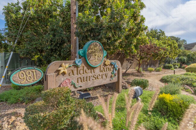 Alden Lane Nursery is a large plant and garden nursery that is loved by Three Fountains locals.