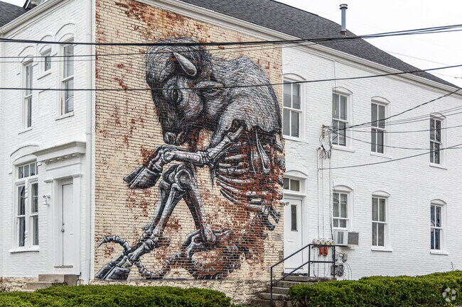 North Limestone features some of the 45 murals scattered throughout Lexington.