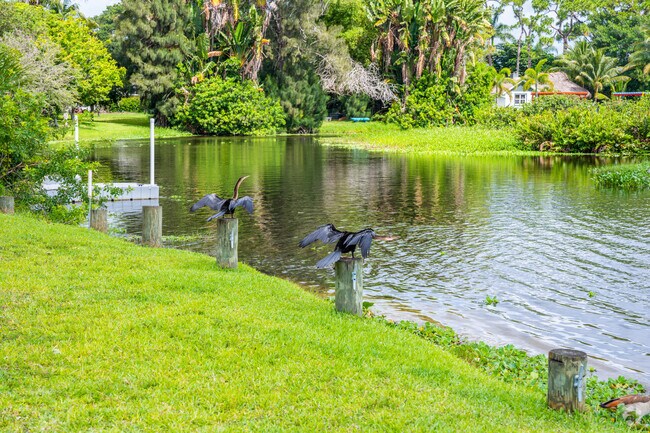 Lake Osborne is full of wildlife and nature to appreciate.
