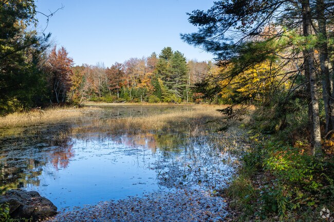 Big Falls Preserve in Durham, Maine, offers serene hiking trails, picturesque waterfalls, and abundant wildlife.