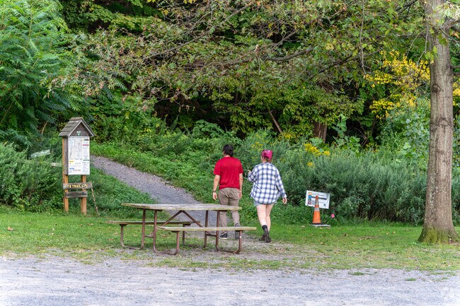 Winding trails lead up the 500-foot-tall Joppenbergh Mountain in Rosendale.