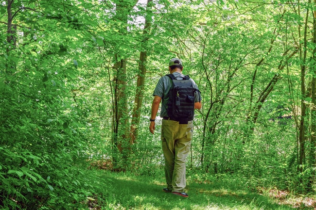 A hiker walks through the forest of Wilderness Park in South Side.