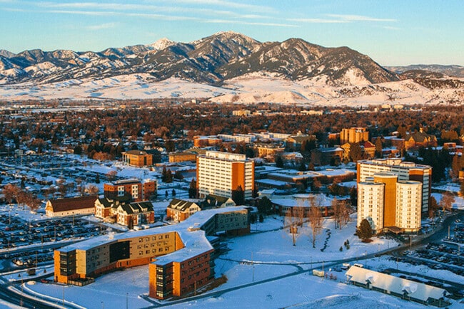 522 W College St unit ID1292390P, Bozeman, MT 59715 - photo 6