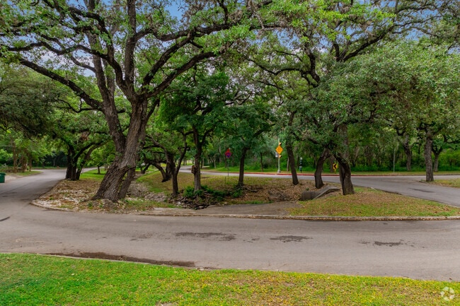 The tree lined streets of Alamo Heights provide shade year round.