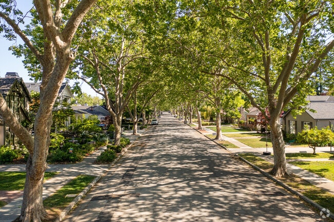 Leaf covered streets line this charming neighborhood, making for perfect summer strolls.