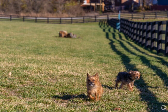Let the pups run free in the large dog park at Legacy Grove.