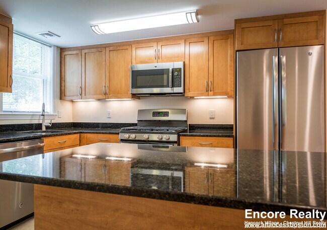 235 Gerry Rd, Chestnut Hill, MA 02467 - photo 7