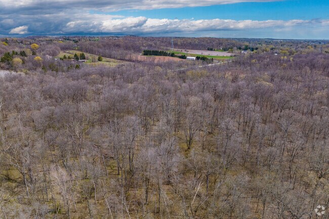 An aerial of Martin's Woods State Natural Area.