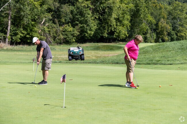 Coonskin Park provides a new golf course for those in Big Chimney to enjoy.