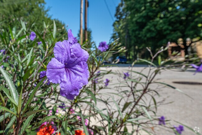 Flower gardens and manicured lawns add beauty to Near East homes.