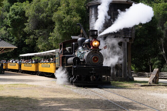 Roaring Camp’s 1890 steam train in Felton winds through towering redwoods to Bear Mountain, offering a nostalgic ride into Santa Cruz Mountain forest beauty.