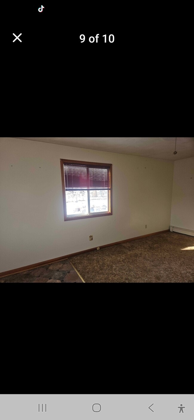 317 Norton Ave unit Ray Saddlemire, Endicott, NY 13760 - photo 7