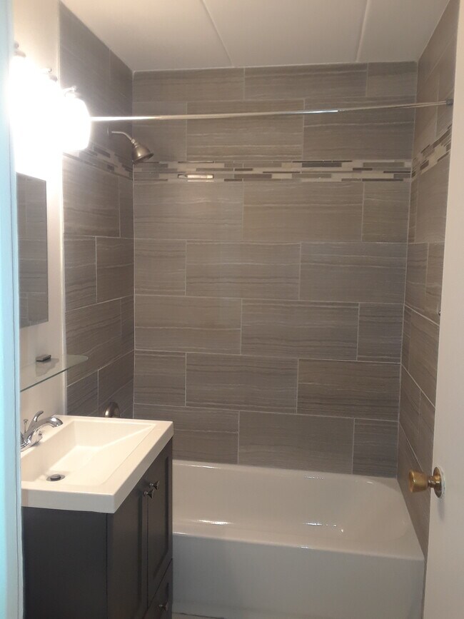 Lake Run Condominium unit 507N, Prospect Heights, IL 60070 - photo 4